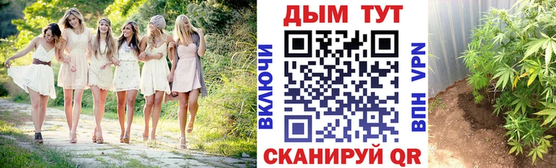 Купить  Зеленоградск  Бошки Шишки семена 